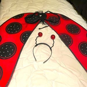 Ladybug Halloween Costume accessories